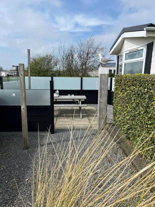 Chalet + Tiny House Nabij Strand Petten Exteriér fotografie