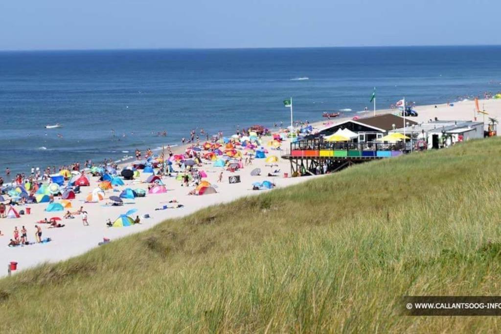 Chalet + Tiny House Nabij Strand Petten Exteriér fotografie